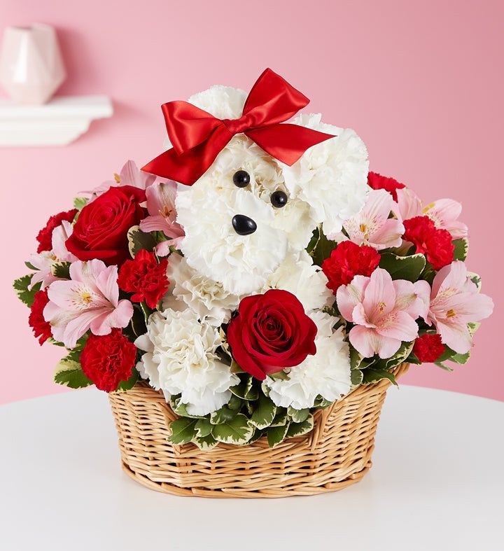 Best flowers to 2024 gift a girl