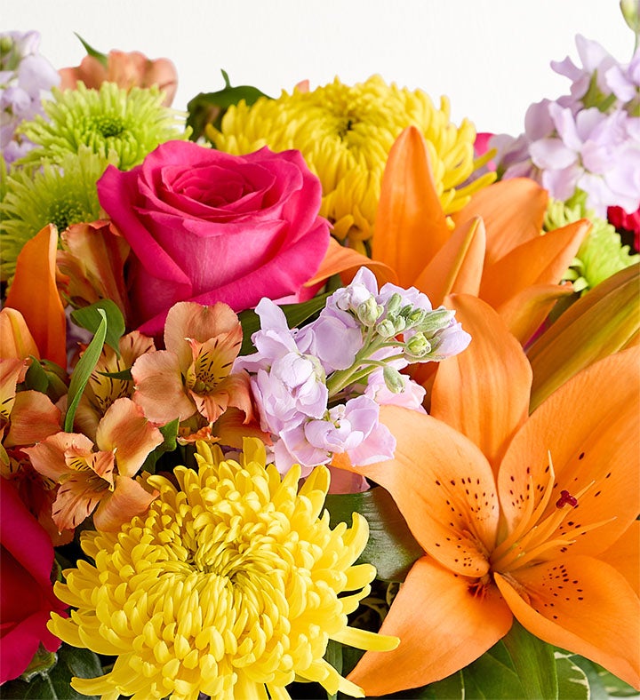 Vibrant Beauty™ Bouquet | 1800Flowers