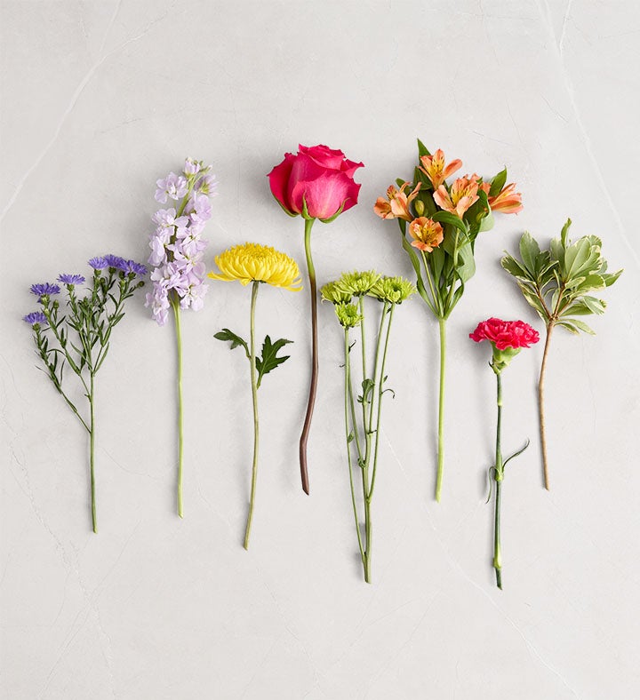 Vibrant Beauty™ Bouquet | 1800Flowers