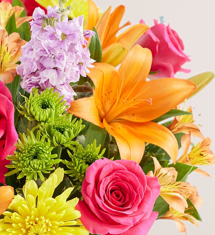 Vibrant Beauty™ Bouquet | 1800Flowers.com Vibrant Beauty™ Bouquet | 1800Flowers.com