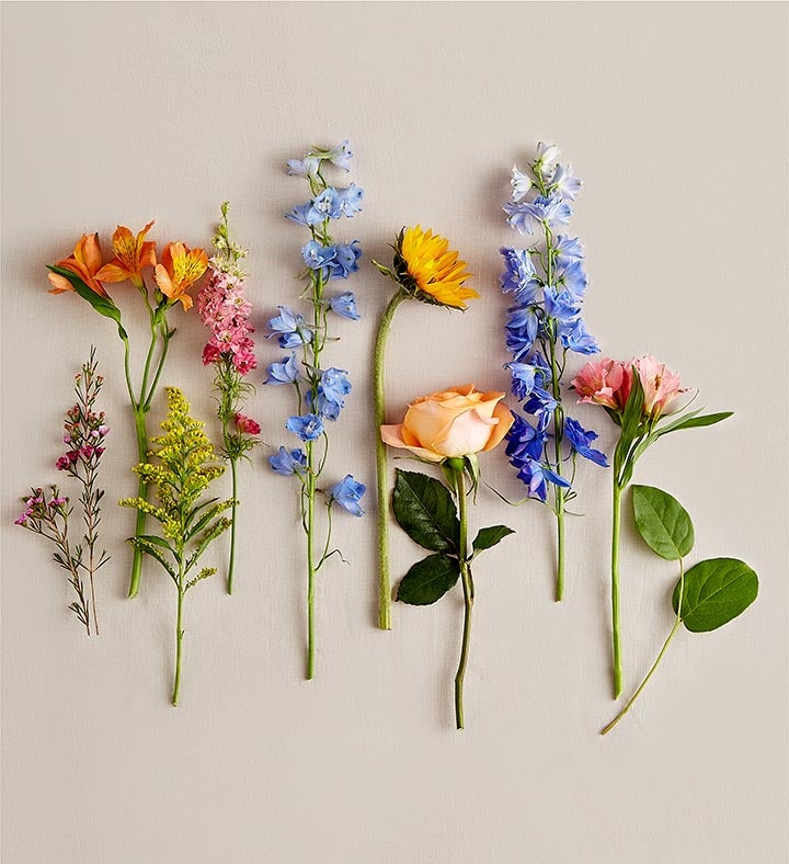 Spring Sensation™ Bouquet | 1800Flowers.com