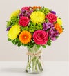 Fields of Europe® Celebration