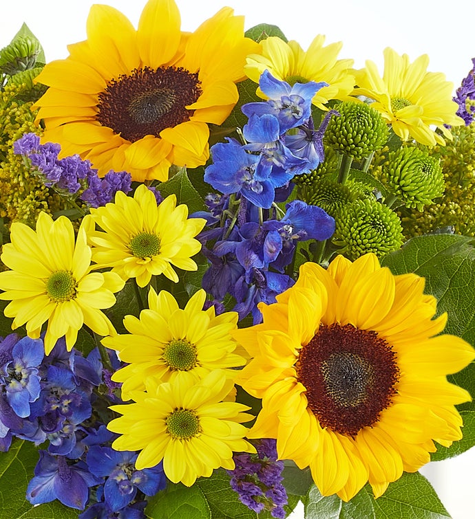 Fields of Europe® for Dad