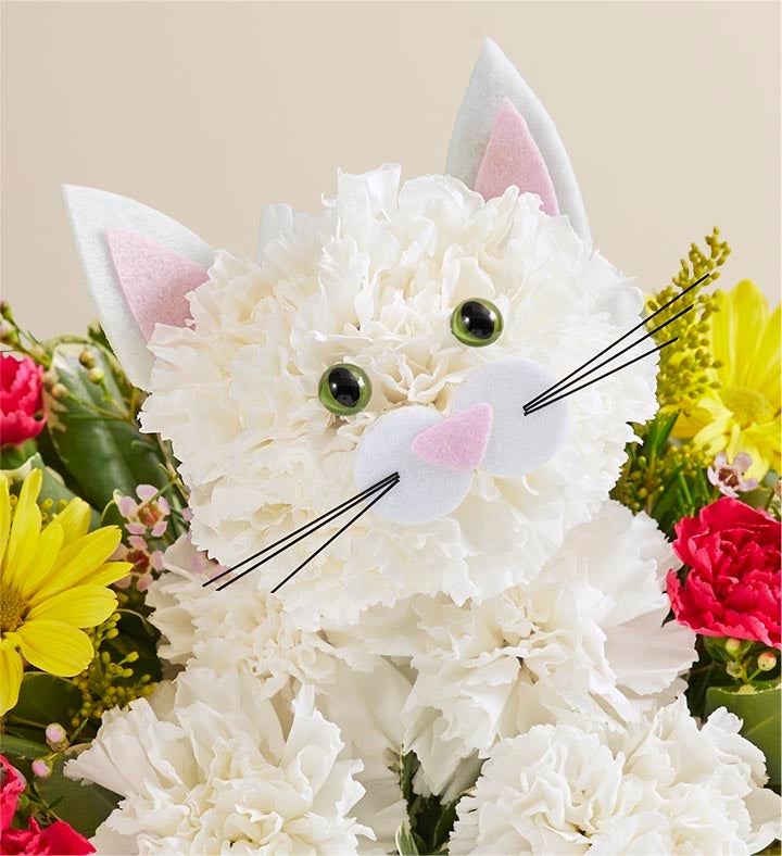 【保障できる】 Fabulous Feline™ | 1800Flowers.com 茶