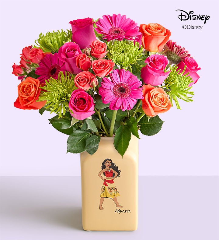 Disney's Moana Island Dream