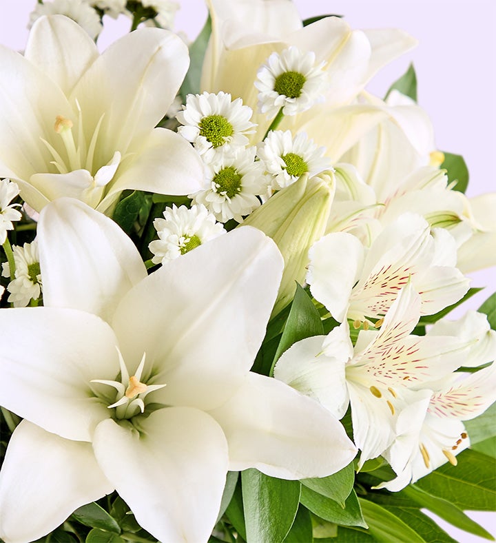 Disney’s Tiana Bayou Lilies