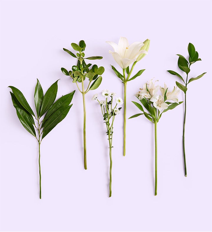 Disney’s Tiana Bayou Lilies