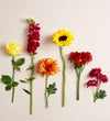 Expressions of Fall™ Bouquet