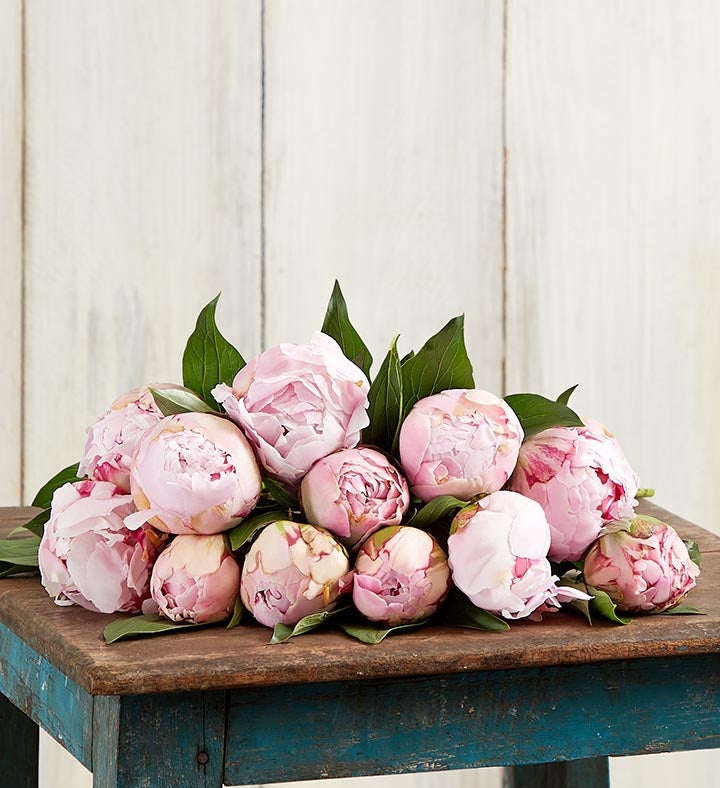 Pink & White Peony Bouquet