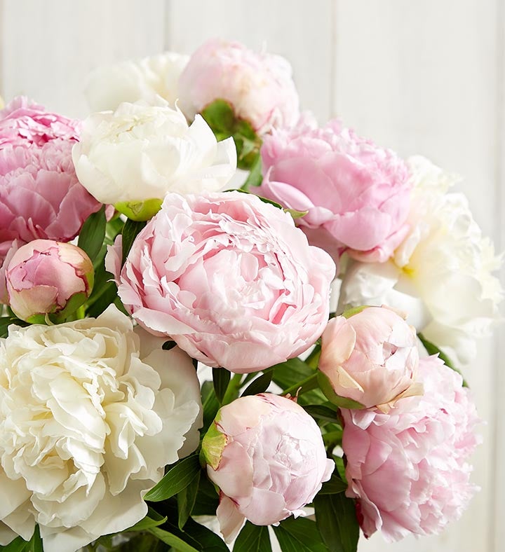 Pink & White Peony Bouquet