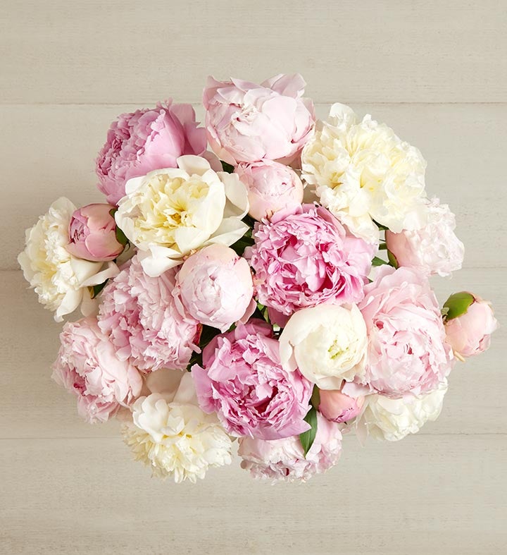 Pink & White Peony Bouquet