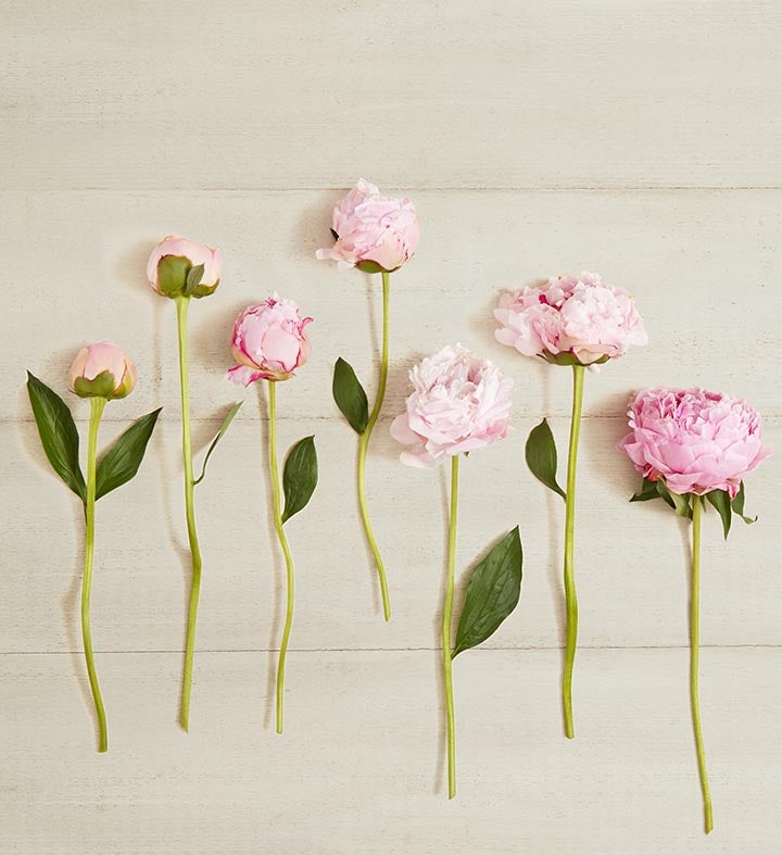 Pink & White Peony Bouquet