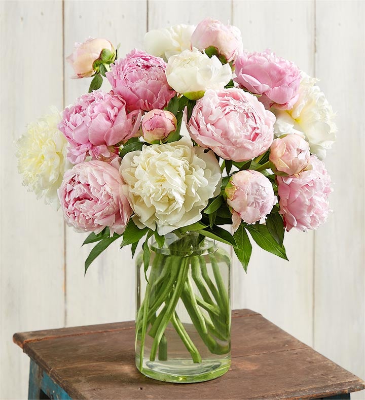 Pink & White Peony Bouquet