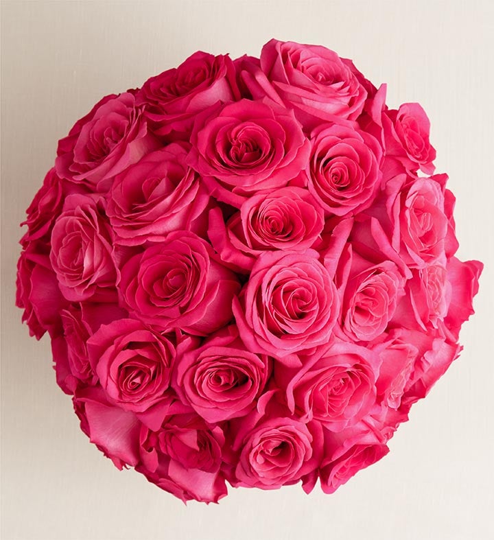 Contemporary Hot Pink Roses