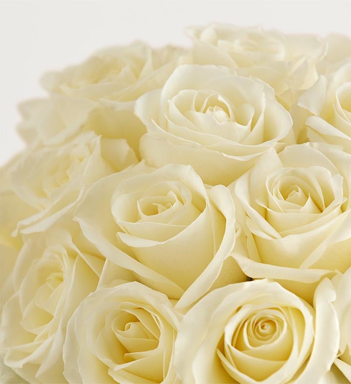 Contemporary White Roses