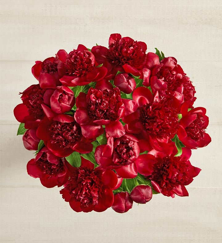 Scarlet Burst™ Peonies