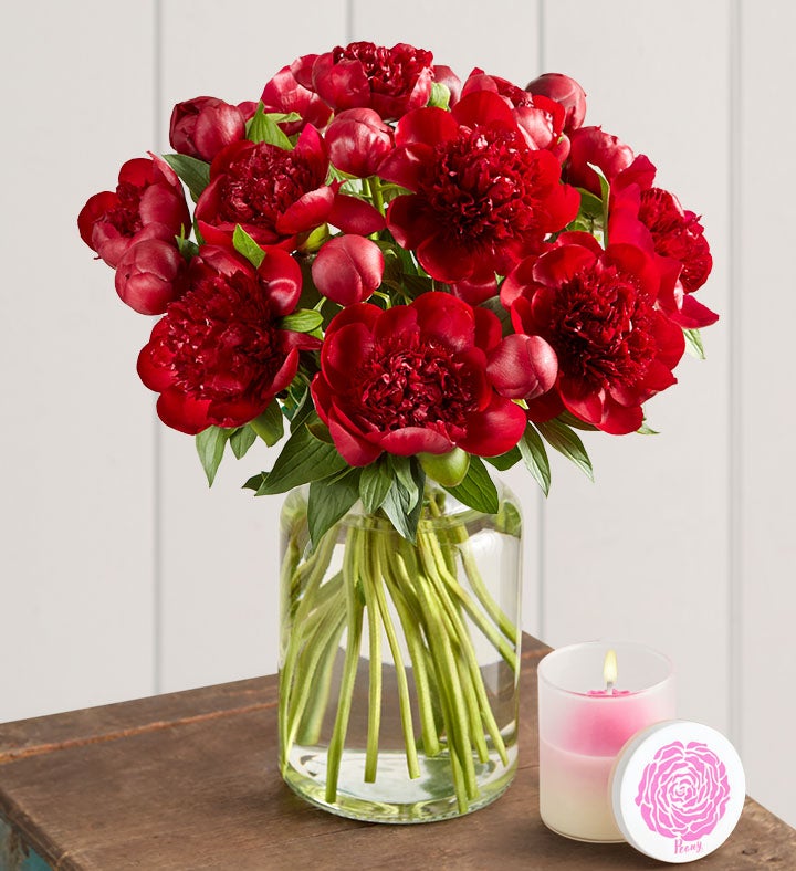 Scarlet Burst™ Peonies