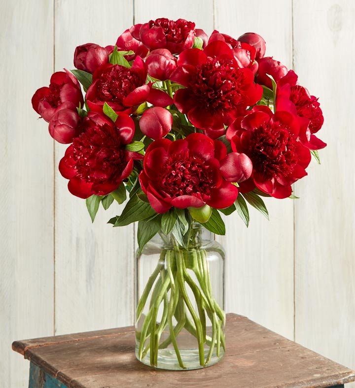 Red Peonies for Valentine's Day