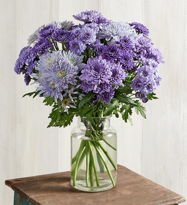 Blu Ocean™ Chrysanthemum Bouquet