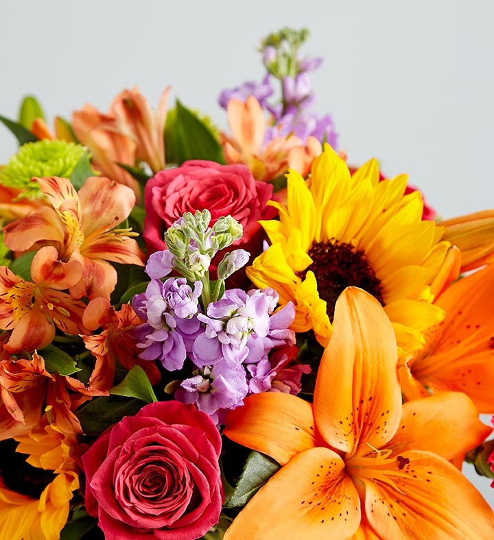 Floral Embrace™ with Perfectly Plated™ Dipped Fruit Platter