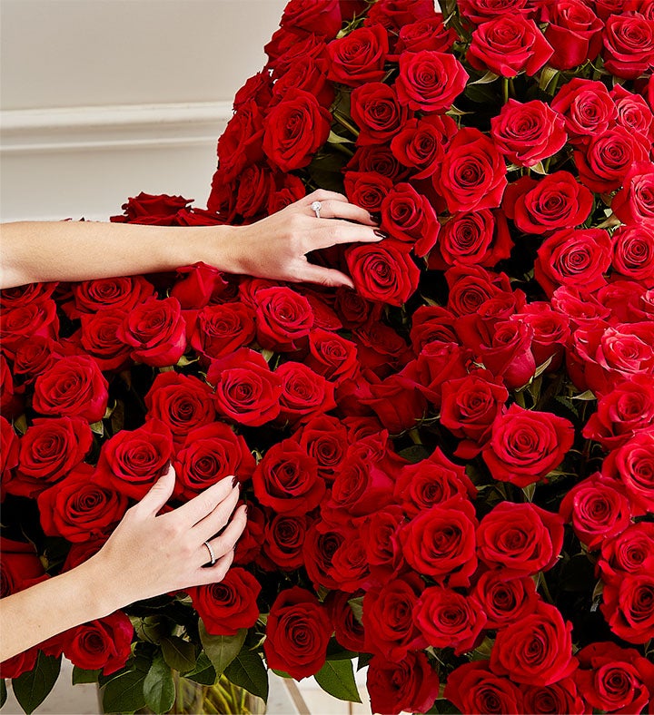 Extravagant Romance 300 Long Stem Red Roses™