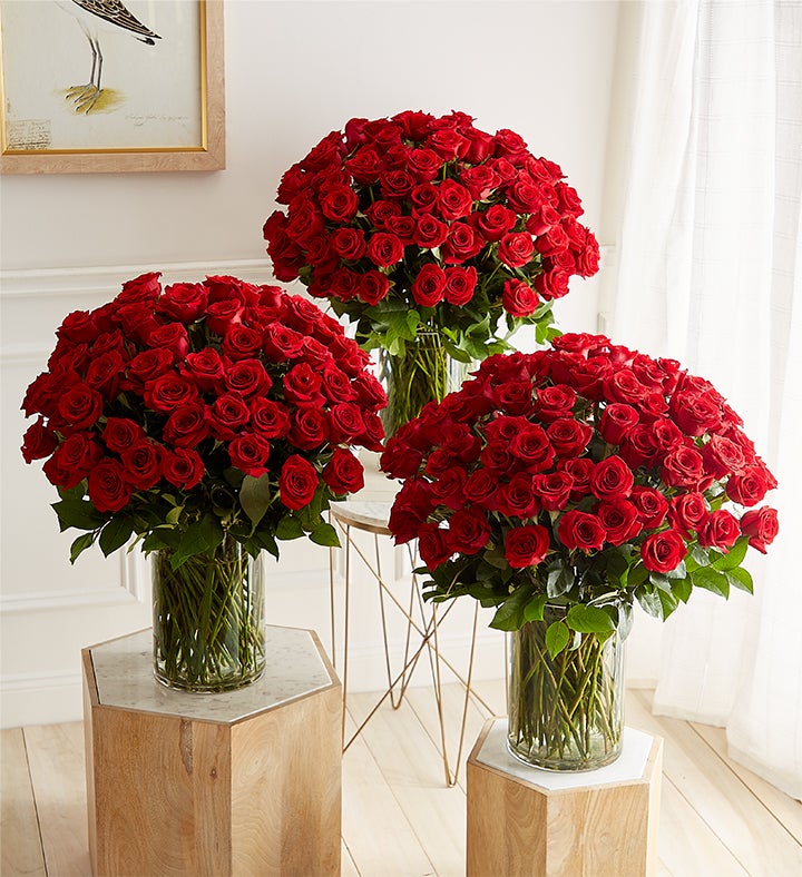 Extravagant Romance 300 Long Stem Red Roses™