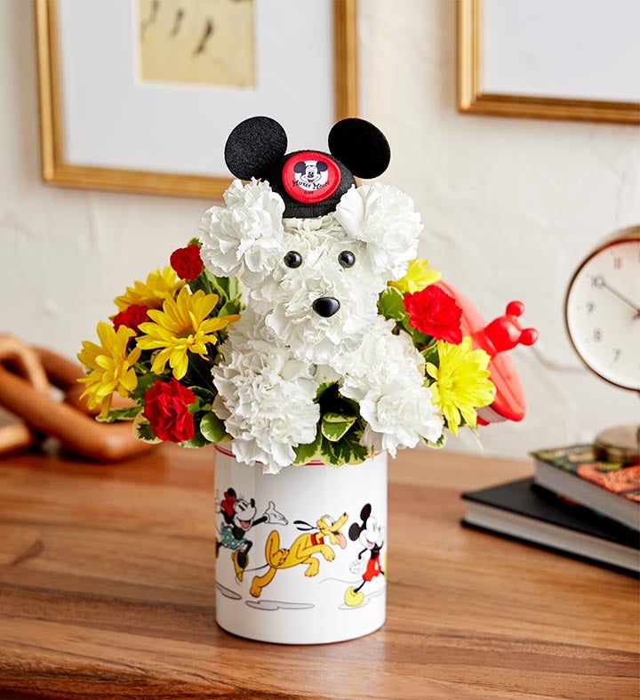 Disney Mickey Mouse and Friends Cookie Jar – a-DOG-able