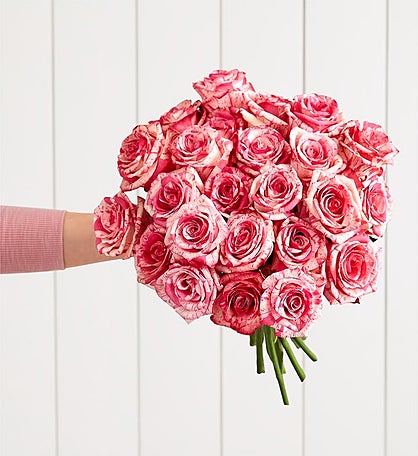 Bicolor Pink Rose Bouquet, 12 & 24 Stems
