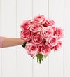 Pink Splash Roses