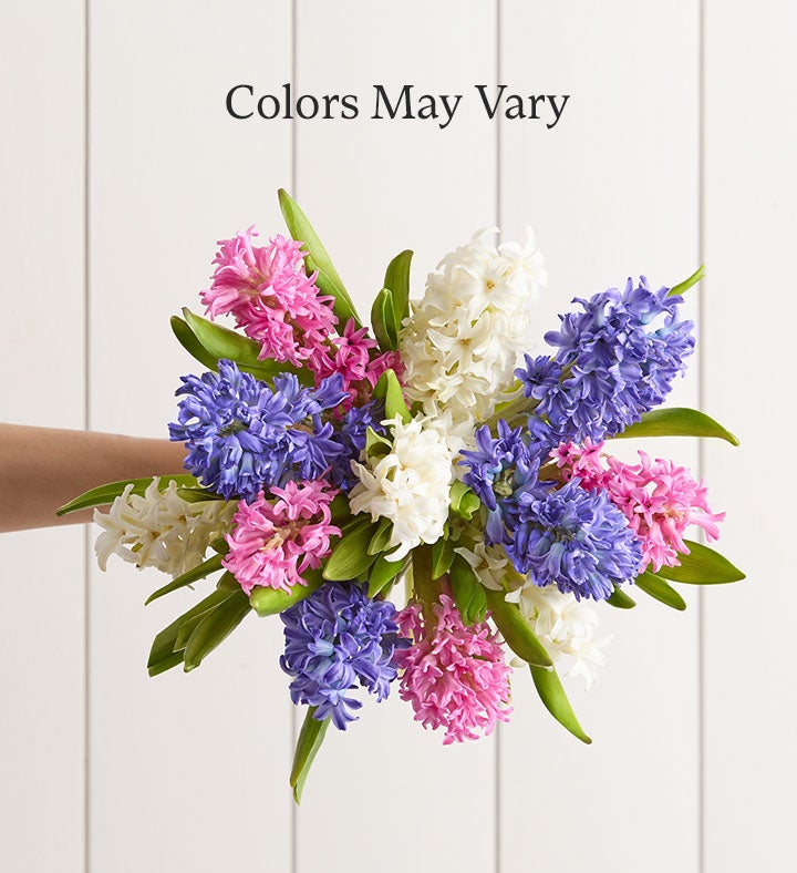 Fragrant Hyacinth Bouquet, 12 Stems