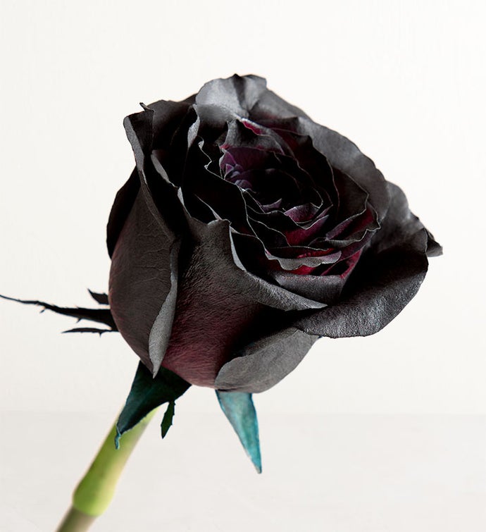 New Moon Black Roses™ with Chocolate