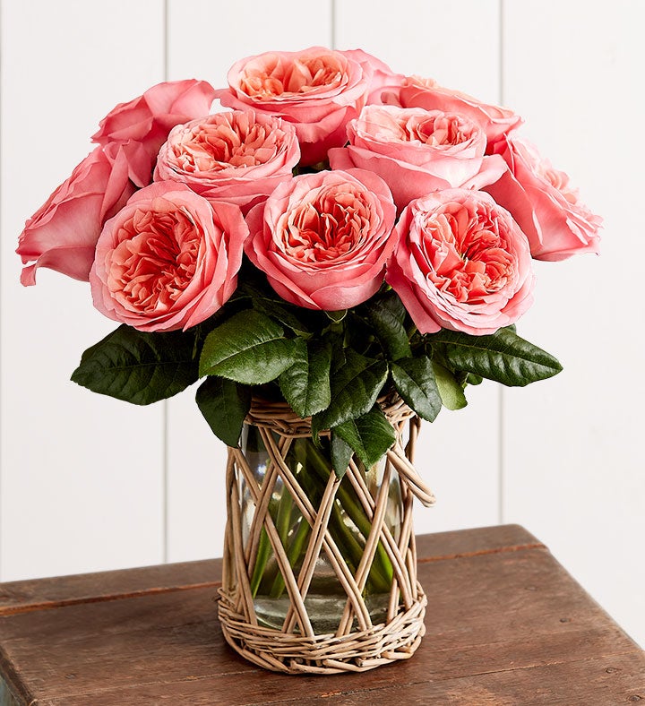 Pink Arbor Roses™