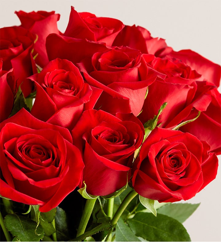 Hugs and Hearts Red Roses, 24 Stems