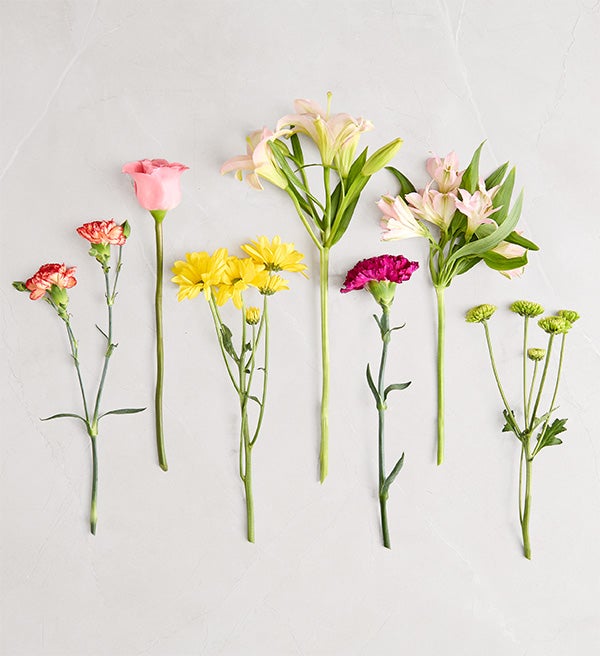 Bouquet of the Month: Rainbow Fields
