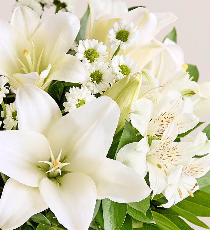 White Lily Bouquet with The Adventure Begins Vase