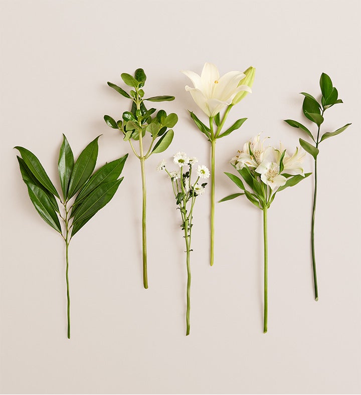 White Lily Bouquet with The Adventure Begins Vase