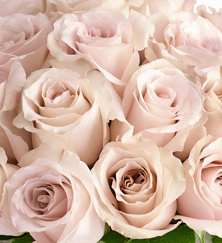 Contemporary Sand Roses™