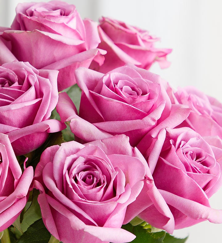 LoveShackFancy Sugar Plum | 1800Flowers.com
