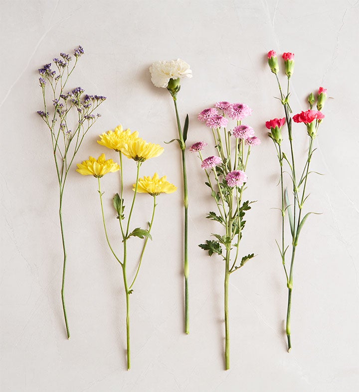 ❣️HappySelect❣️ Amazon.com: XVX Keycaps - Pink Cute PBT Keycaps, MOA Profile