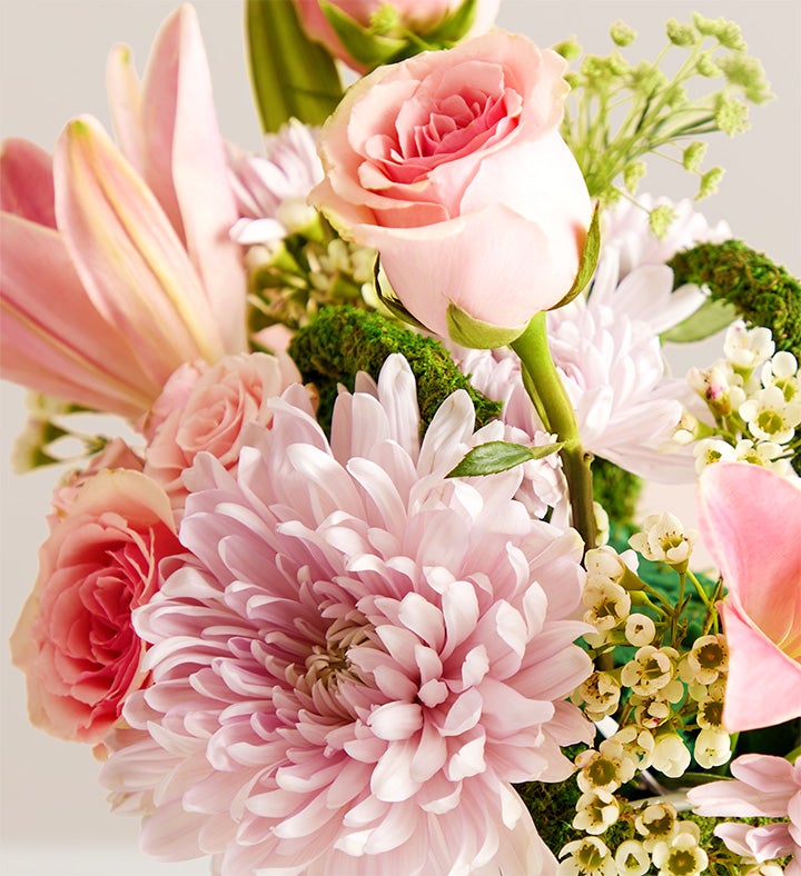 Palermo Blush™