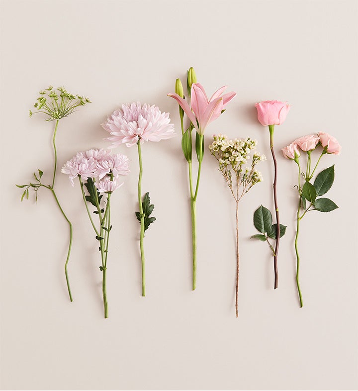 Palermo Blush™