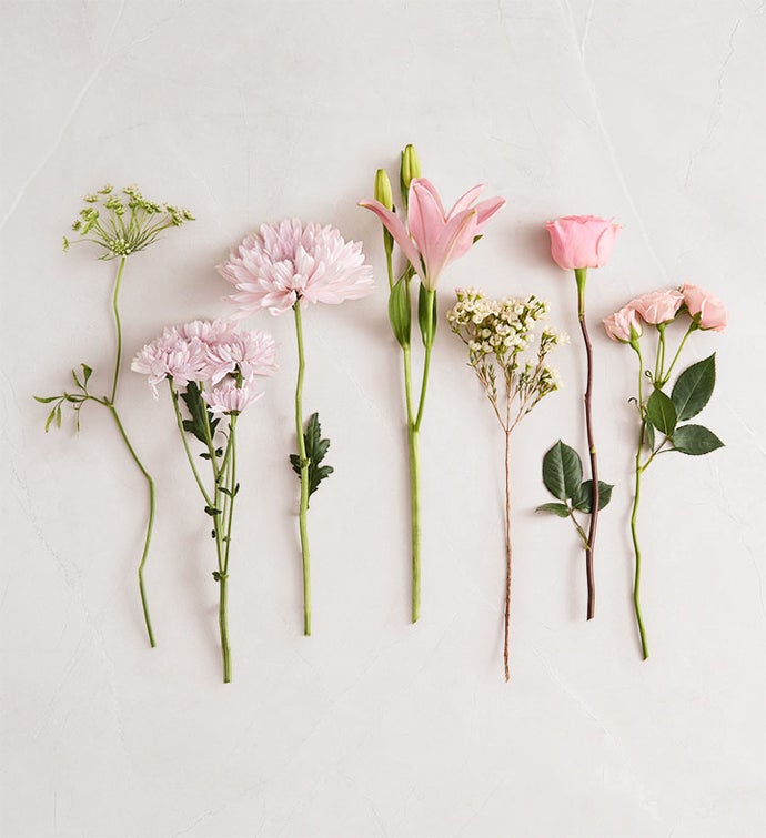 Palermo Blush™