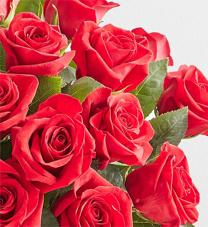 Two Dozen Red Roses with Luxury Posh™ Vase