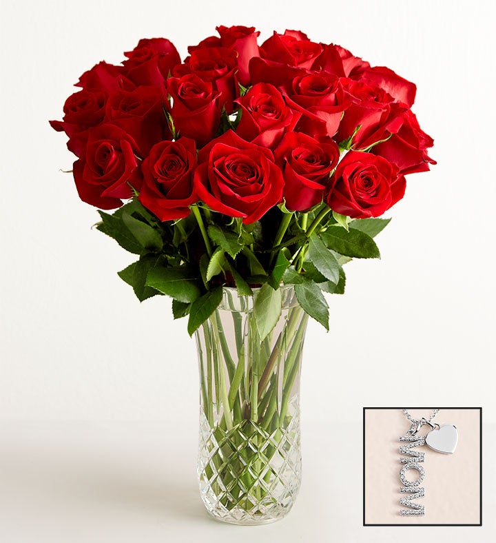 Two Dozen Red Roses with Luxury Posh™ Vase