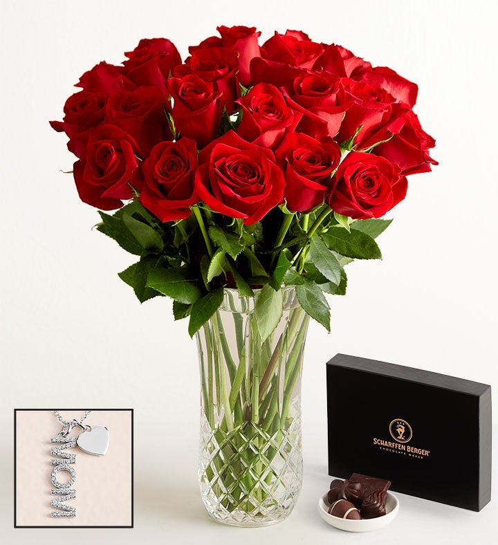 Two Dozen Red Roses with Luxury Posh™ Vase