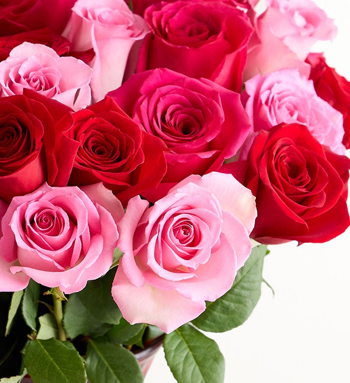 Enchanted Rose Medley Bouquet, 36 Stems with Chocolate