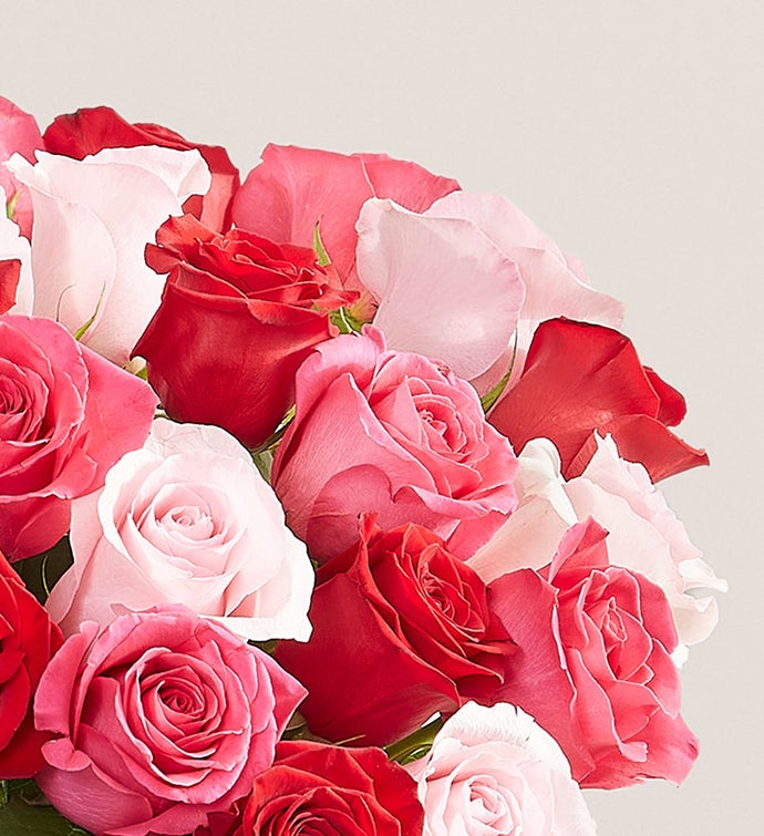 Enchanted Rose Medley, 18 Stems