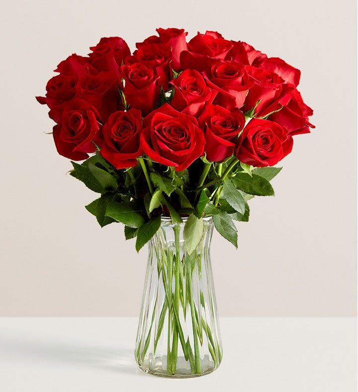 Sparkle Her Day Two Dozen Red Roses