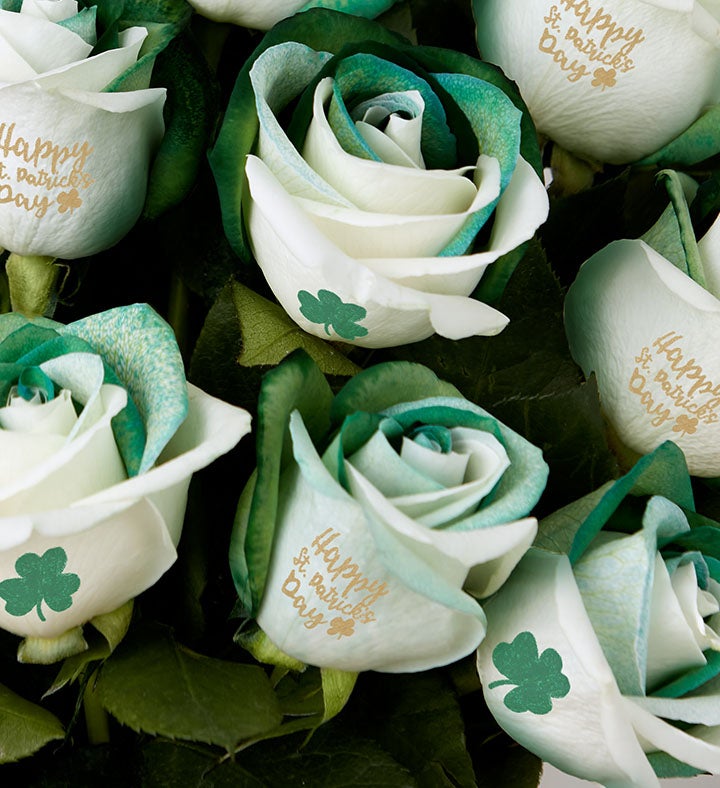 Conversation Roses™ St Patrick’s Day