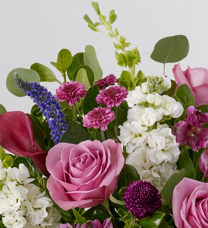 Perfectly Plum by Jason Wu for Wild Beauty